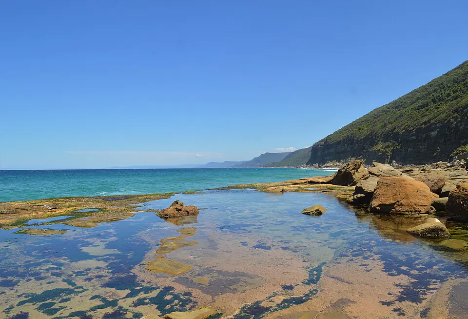 A rock shelf and tidal pool on the Royal National Park coast track